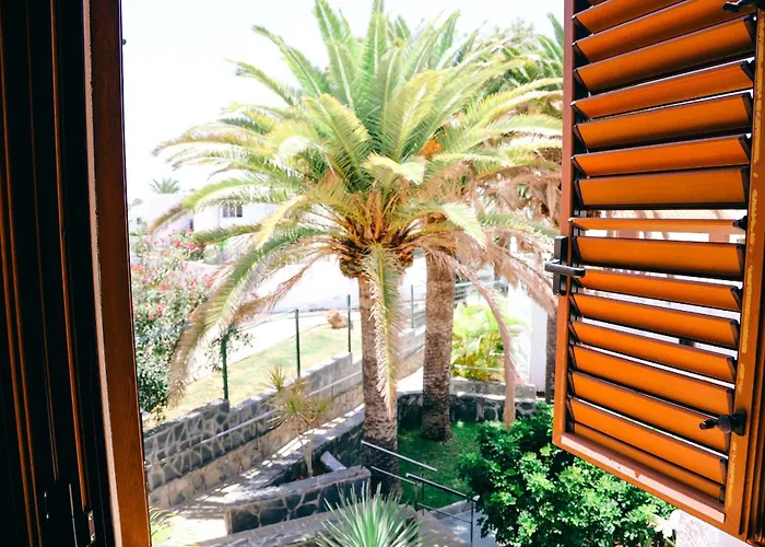 Apartament Virginia Playa de las Americas (Tenerife)